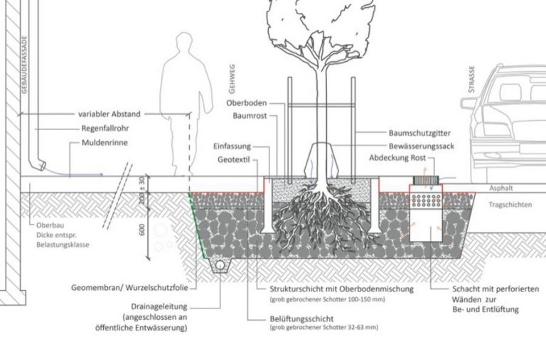 Stadtgrün: Andere Bäume & Pflanzgruben nach Stockholmer Modell