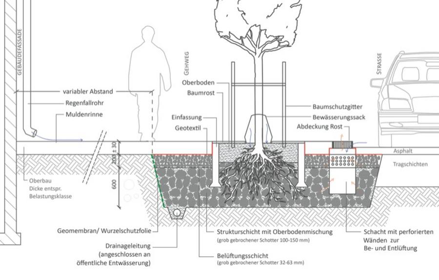 Schema Stockholmer Modell. System Stockholm: Einleitung von Straßenabflüssen in die Pflanzgrube gemäß der Stockholm Solution (ohne Maßstab). Grafik: C.Biber, basierend auf Embrén et al. 2009