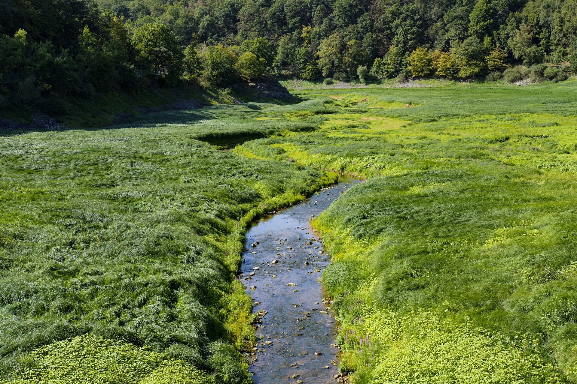 Flussbett