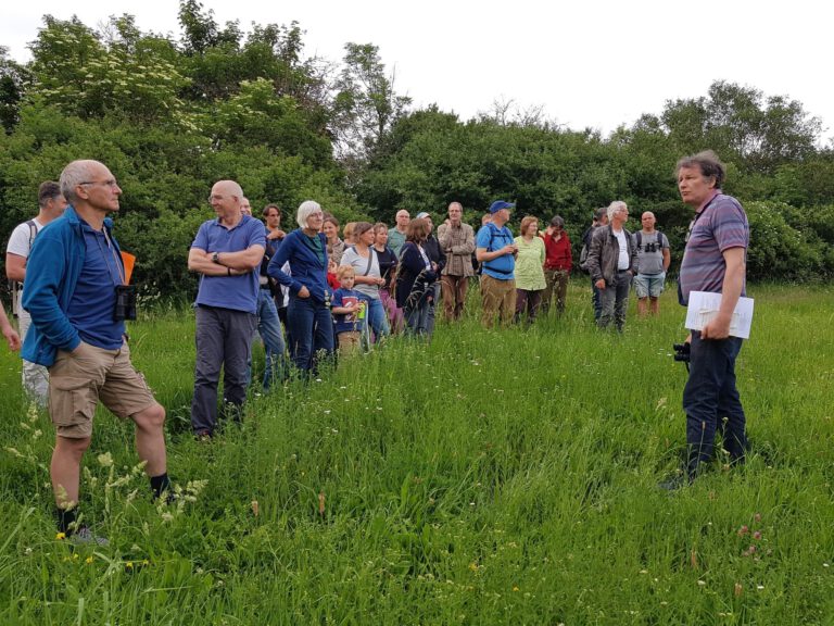 Vogelstimmenwanderung der Grünen Kitzingen fand großes Interesse